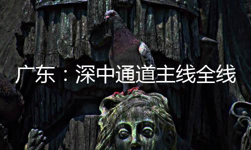 道主灯，倒计线全线亮广东通车进入中通深时